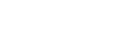 W-Lan Icon